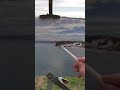 Painting The View Of Seattle From Kingston Bay, WA, USA. #oilpainting #pleinair