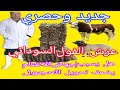 ايهما افضل عرش الفول السوداني ام دريس برسيم حجازي هل يقلل العرش انتاج الحليب وهل يقلل الاوزان