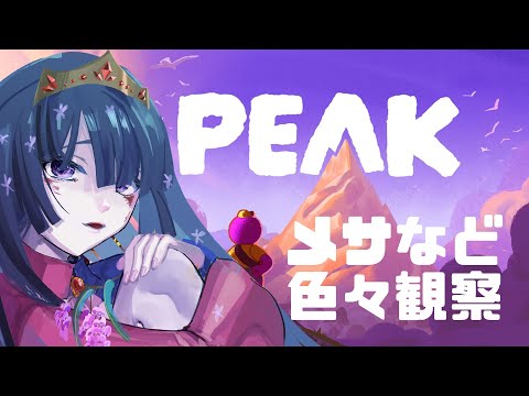 【ゲーム】山に魅入られたネクロマンサー【PEAK】