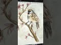 easy watercolor painting 🖌️