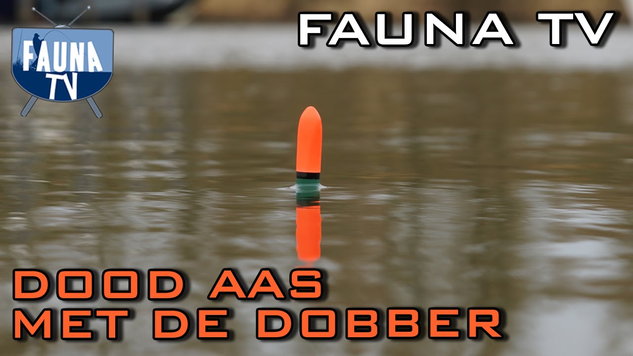 Binnenshuis wond alarm Fauna TV - Snoeken met dood aas onder de dobber - YouTube