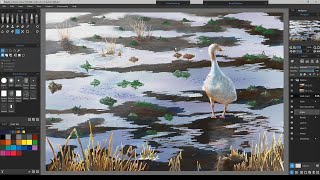 Rebelle 4 Rebelle 5 & Rebelle 6 Watercolor - Snow Goose