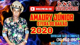 AMAURY JÚNIOR REP. NOVO 2020