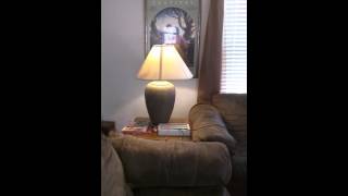 Smarthome with Alexa and Homeseer