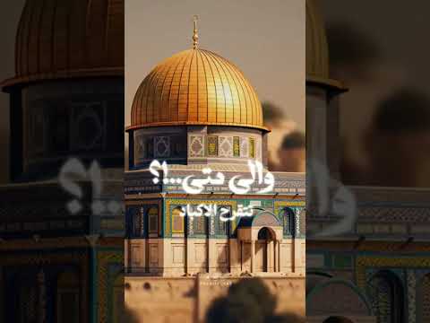 نسبى ونطرد يا ابي