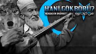 Hani Gökbörü   Bozkurt Nerede (Where is Gökbörü Bozkurt? )
