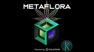 Metaflora | Weed Blockchain | May 29 2024
