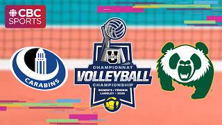 U Sports Women's Volleyball Championship: Montréal Carabins (8) vs. Alberta Pandas (1) - QF U Sports Women's Volleyball Championship: Montréal Carabins (8) vs. Alberta Pandas (1) - QF