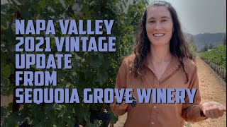 Napa Valley 2021 vintage update from Molly at Sequoia Grove Winery