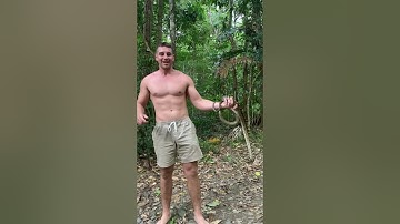 Learning with Luke (Scrub Python)