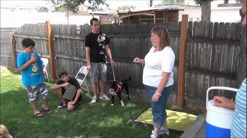 Thumbnail of Puppy Kindergarten at Full Circle Veterinary Care