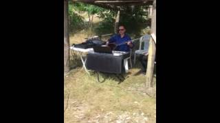 Mısırlar Saçak Saçak Ankaralı Murat Sönmez