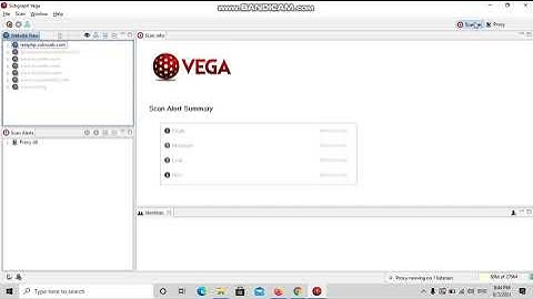 Automated scans using Vega Scanner