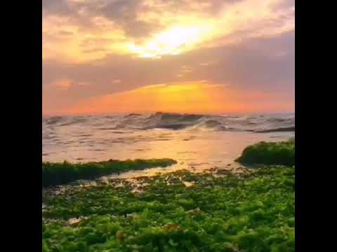 اة ونروح ونسيب ونقول ماحصلش نصيب