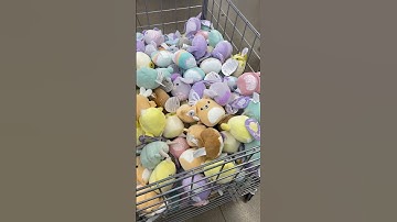 squishmallow hunting at five below easter squish!