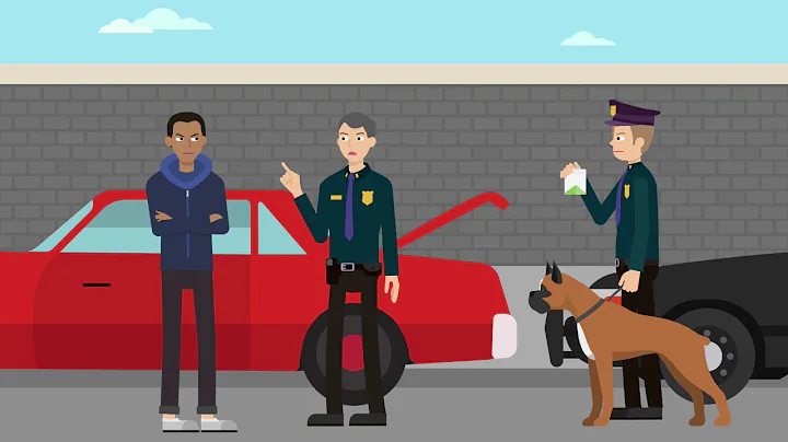 Illinois v. Caballes Case Brief Summary | Law Case Explained