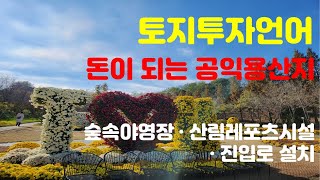 투자언어 #107 : 돈이 되는 공익용산지. 숲속야영장, 진입로설치, 휴게음식점(카페), 숙박시설 등