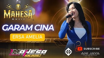 CHINESE SALT - ERSA AMELIA-MAHESA MUSIC-HAPPY PARTY YOUTH JRAGUNG-ANIJAYA AUDIO-AIRIN DIGIMEDIA