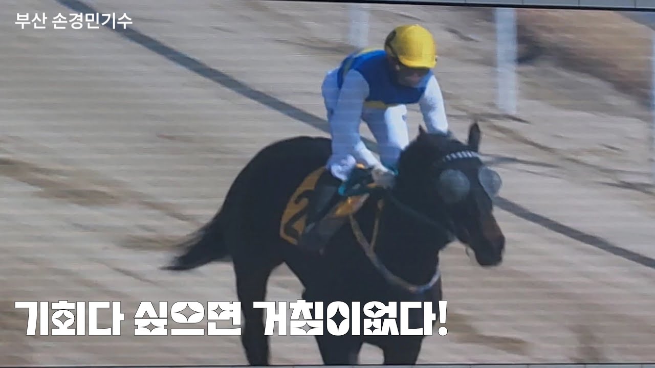 신인기수가 한주3승을 몰아치네 ㅎ(부산경마 하이라이트)