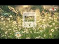 [Vietsub Kara] I Like You (A Happier Song) - Post Malone ft  Doja Cat