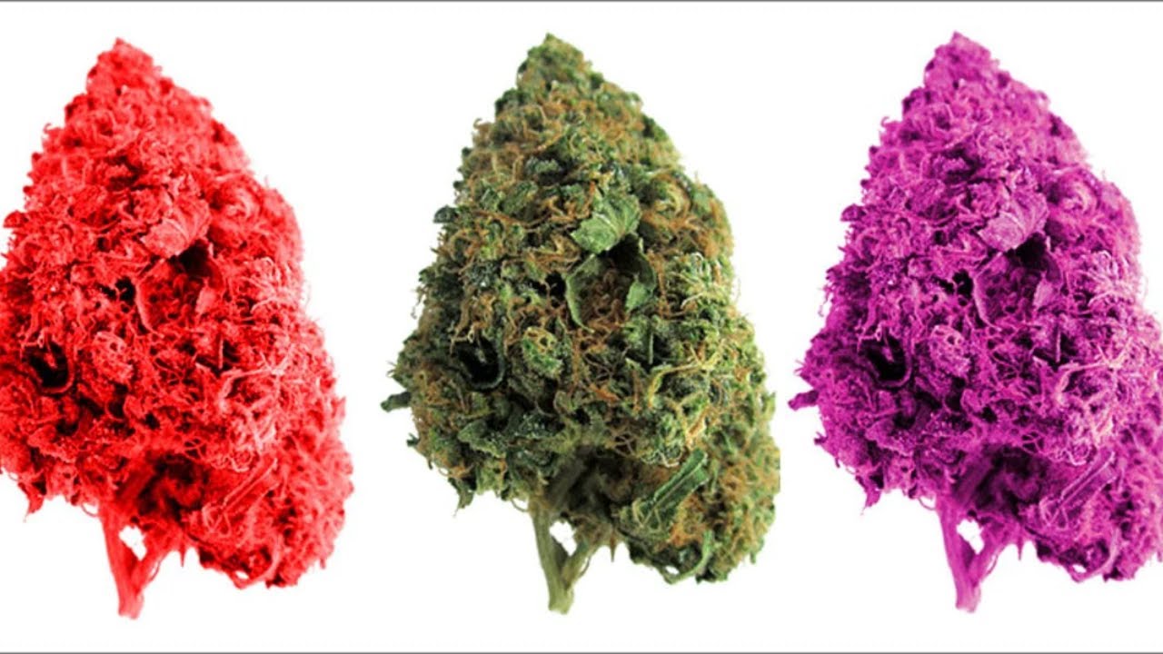 The World's Rarest Strains