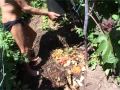 Permaculture - Philip Forrer - Extrait 2