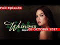 Wildflower - 09 October 2017 - 590