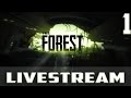 The forest with aussie alcoholicphoenix