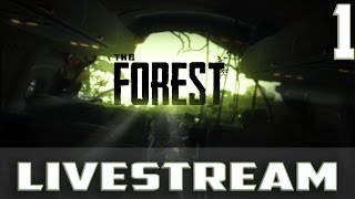 The Forest With Aussie AlcoholicPhoenix