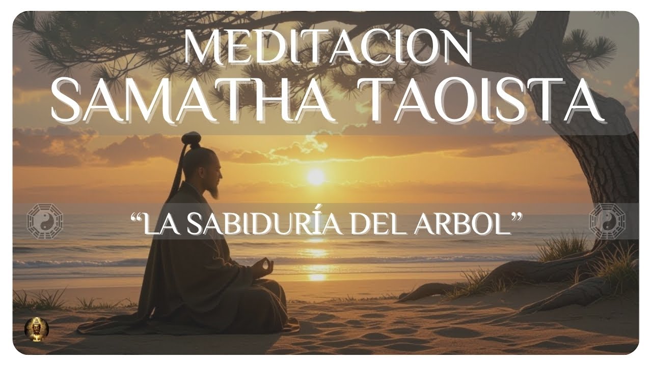 ☯️ Meditación Samatha Taoísta Árbol Interior | Calma Profunda y Sabiduría del Tao