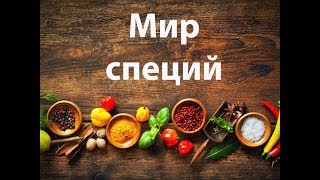 видео Смесь специй универсальная GARAM MASALA (100 гр) - BESTOFINDIA купить в Новосибирске