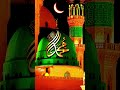I love Mohammed❤️ wait for islamic shayari