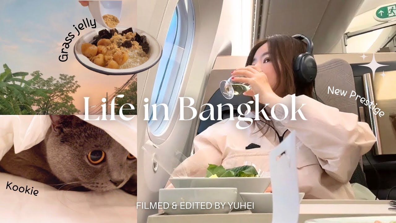 Life in Bangkok ✈️ A Cozy Flight & Cat days 🐈‍⬛ | Northern Thai food Michelin guide🍽️