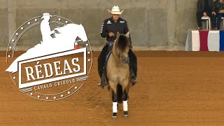 Basco Bacarat TE - 3º Lugar Potro do Futuro Aberta Rédeas de Ouro 2018