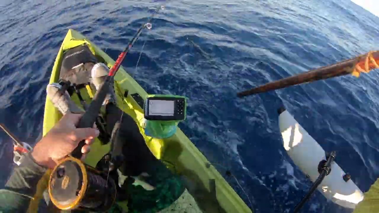 Kayak Fishing Maui YouTube
