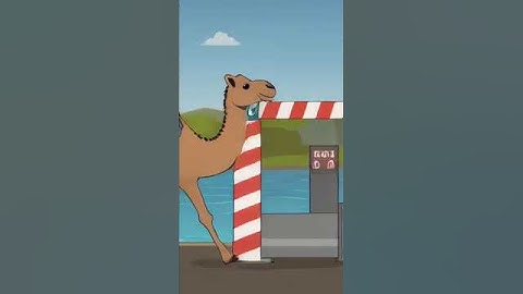 #newsong #haryanvisong #song #punjabisong #punjabimusic #modi#scam#camel#animal#gaming#shorts#memes