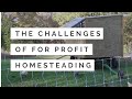 Making Money on a Homestead (The Challenges)