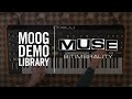 Muse | Bitimbrality