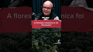 What other secrets does the Amazon rainforest hide from us? #curiosities #curiousuniverse #amazon