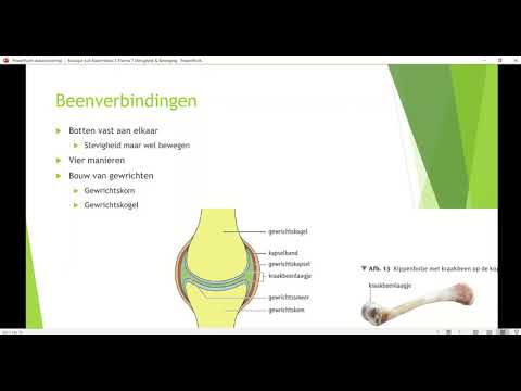 Klas 1 Thema 4 Stevigheid & Beweging Basisstof 3 Beenverbindingen