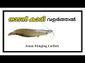 നാടൻ കാരി മീൻ വളർത്തൽ | fish farming part 16 | nadan karimeen valarthal | Green Factory |