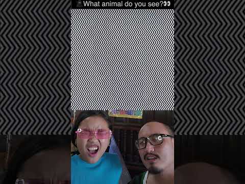 ใครมองเห็นสัตว์ที่ซ่อนอยู่บ้าง #ภาพลวงตา #puzzle #quiz #challenge #เพื่อนซี้ตัวแสบ #555INFINITY