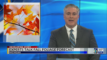 Experts talk fall foliage forecast