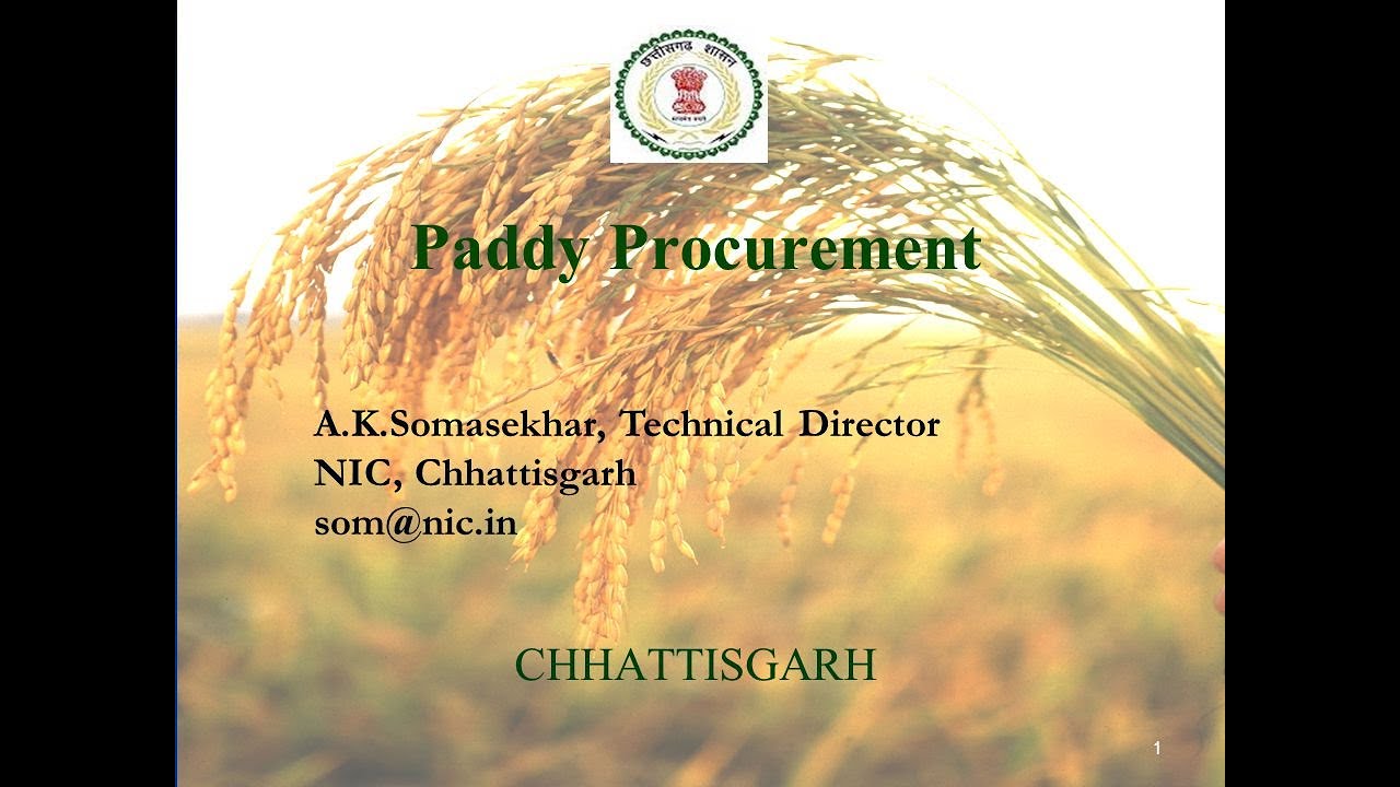 Paddy Procurement Is Progressing 