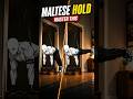 The Full Maltese Mistake Everyone Makes 💪 #calisthenics #bodyweight #skills