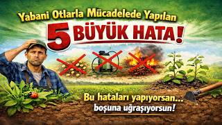 Yabani Otlarla Mücadele 5 Büyük Hata