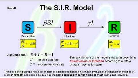 Transmission Rate and Force of Infection Video