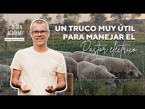 Pastor eléctrico: todo lo que debes saber –canalHOGAR