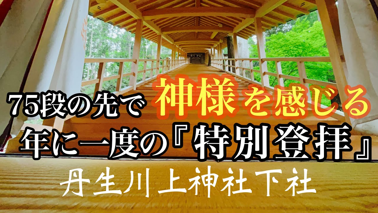 【丹生川上神社下社️】年に一度しか上れない本殿の特別登拝🙏この先に神様の存在を感じます✨