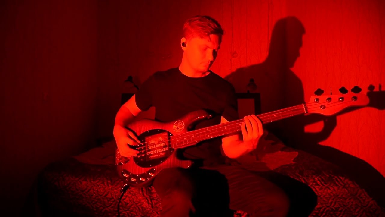 Андрей Капралов Klaxons - Echoes (cover)